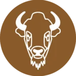 Buffalo