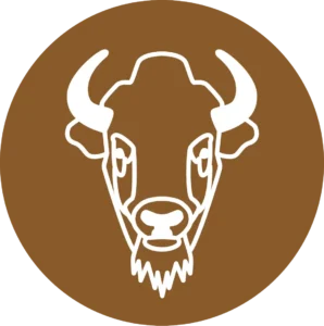 Buffalo