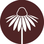 Wildflower