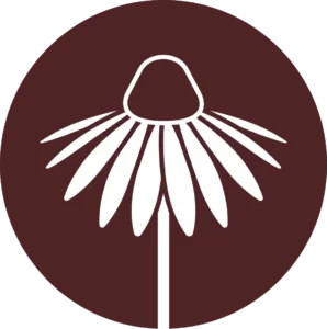 Wildflower